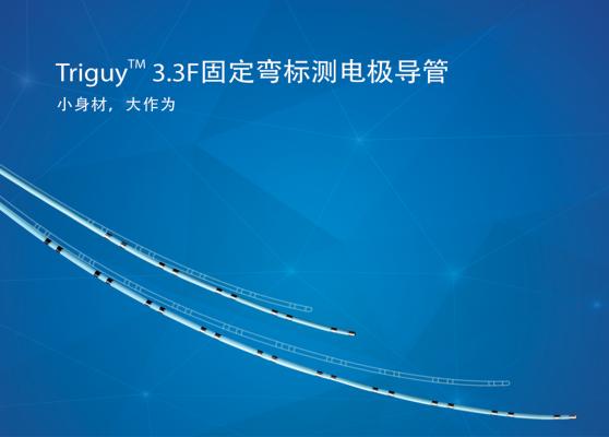 Triguy? 3.3F固定彎標(biāo)測導(dǎo)管