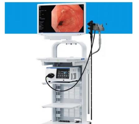 消化內鏡實時輔助診斷圖像處理工作站
