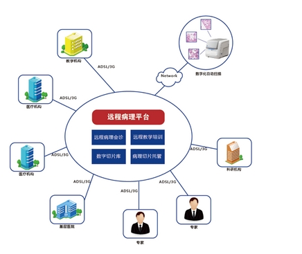 病理遠(yuǎn)程會診平臺軟件